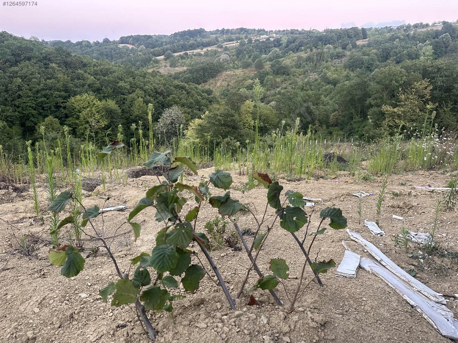 KOCAELİ İZMİT ZEYTİNBURNU   MAHALLESİNDE 5.409 M²  TARLA  SATILIKTIR - KOCAELİ İZMİT fotoğraf 9