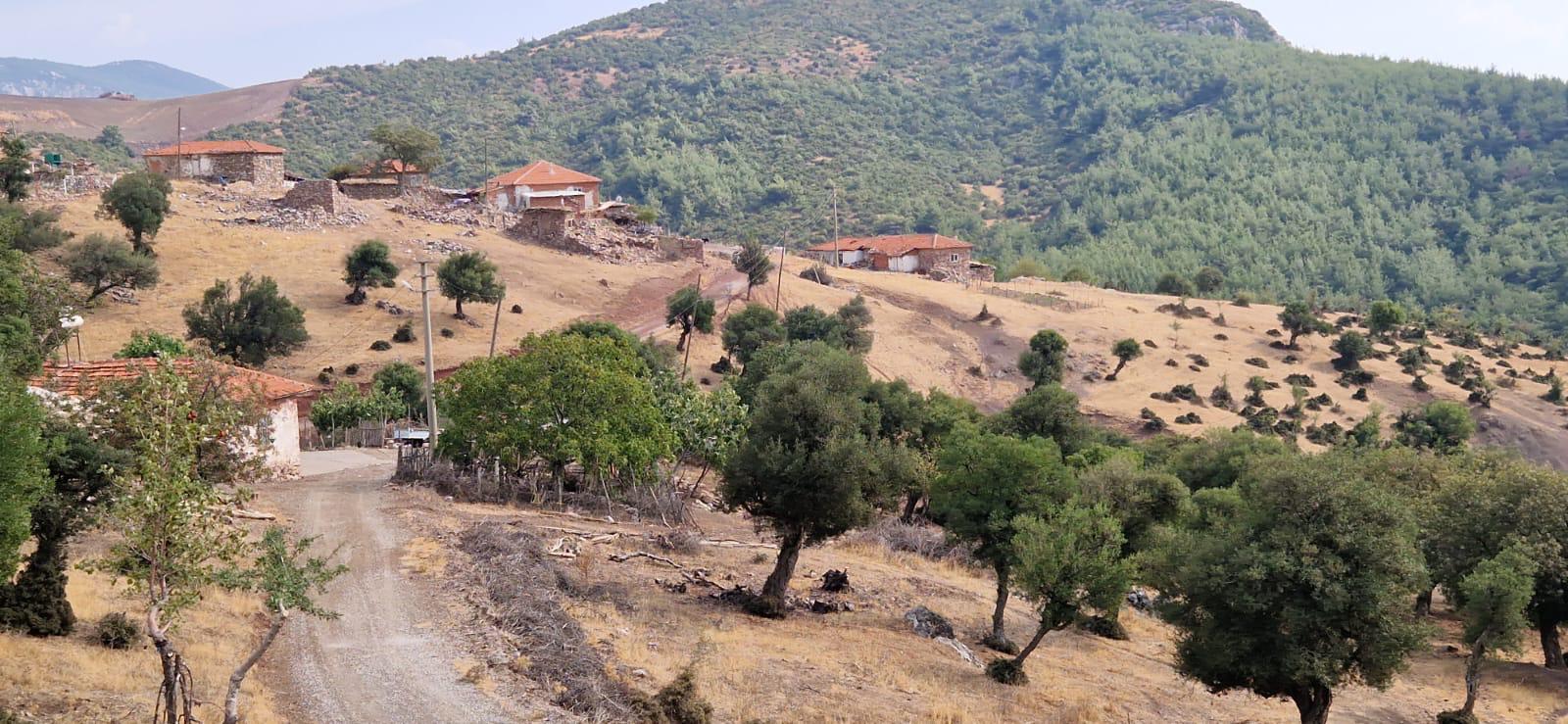 manisa akhisar kabaağaçkıran satılık bahçe - MANİSA AKHİSAR fotoğraf 2