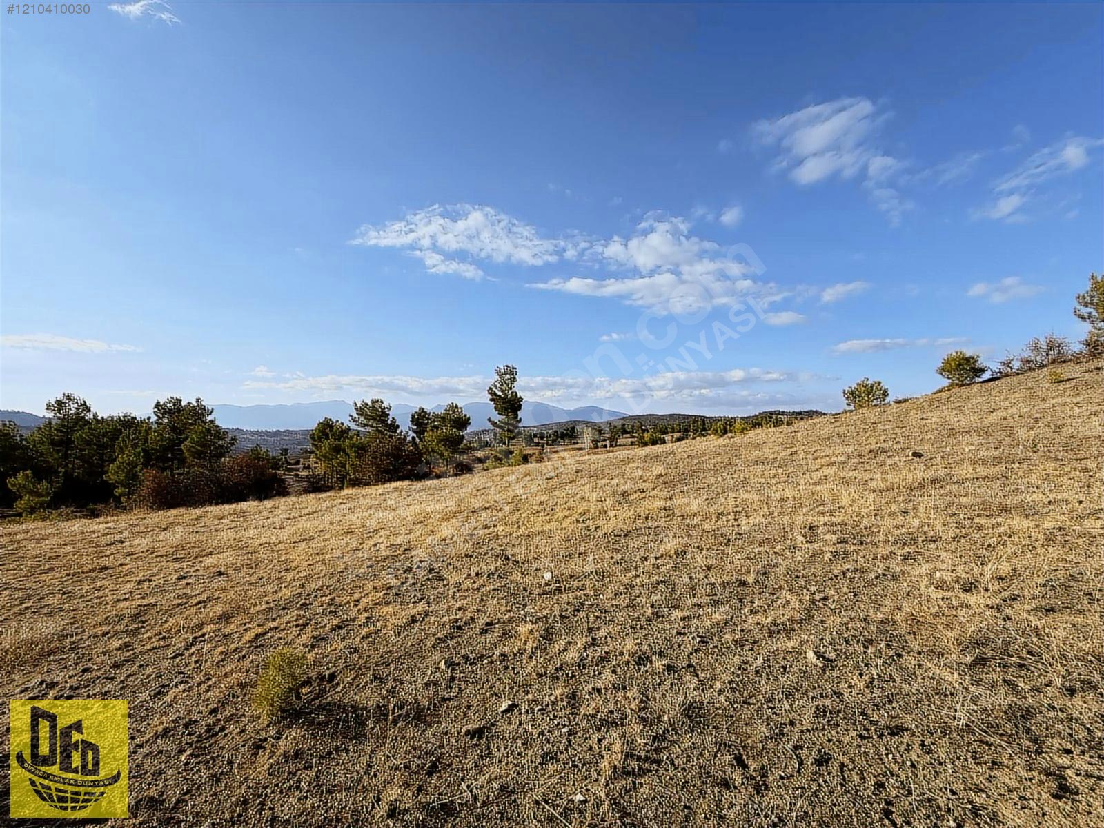ÇAMELİ GÜZELYURT 4 CEPHE MANZARALI 4.773m2 KUPON TARLA - DENİZLİ ÇAMELİ fotoğraf 13