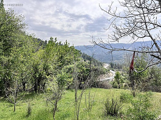   Karaman / Ermenek / Yalındal Köyü 809M² BAHÇE SATILIKTIR.  - KARAMAN ERMENEK fotoğraf 12