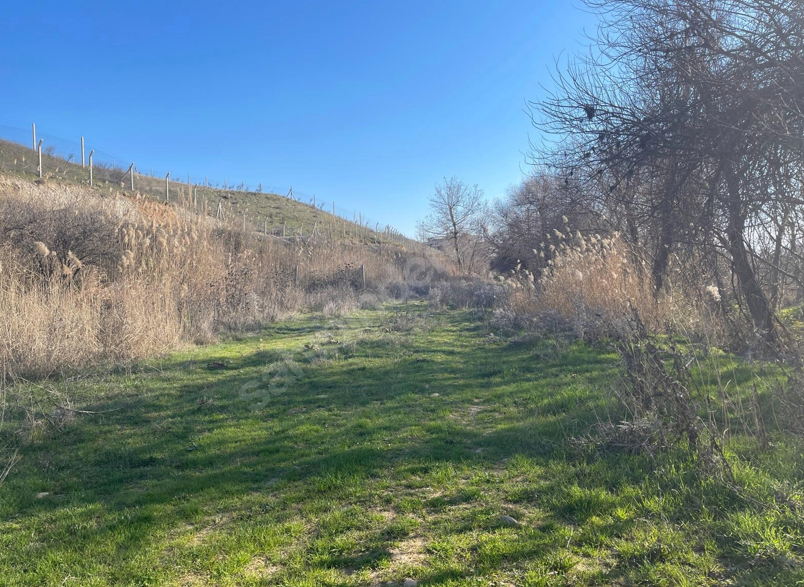 ADIYAMAN KAHTA SALKIMBAĞI KÖYÜNDE  2.150 M²  BAHÇE SATILIKTIR. - ADIYAMAN KAHTA fotoğraf 2