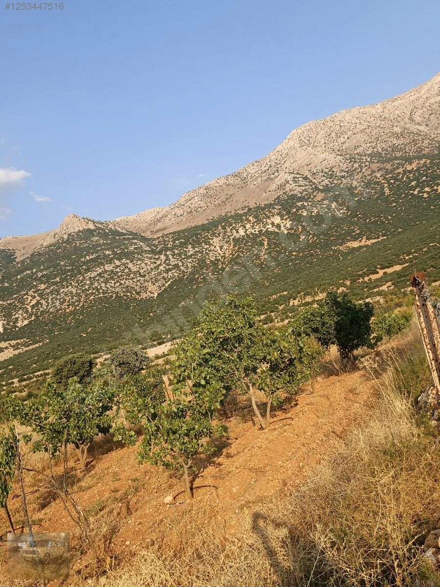 acil !korkuteli'de Yazıra komşu İmecikte 1883m mahalle yanında - ANTALYA KORKUTELİ fotoğraf 23