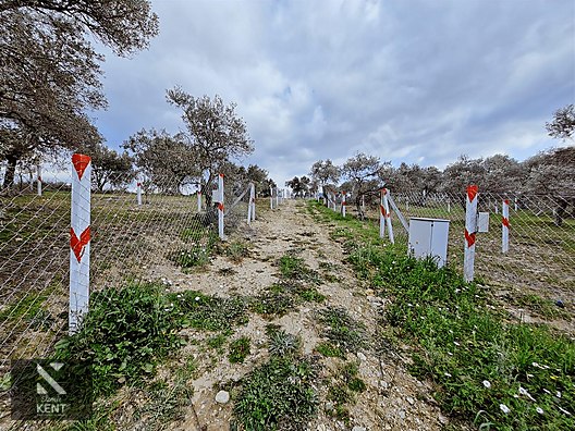 Kemalpaşa Vişneli Satılık 370 m2 Bahçe Elektrik Su Yol - İZMİR KEMALPAŞA fotoğraf 19