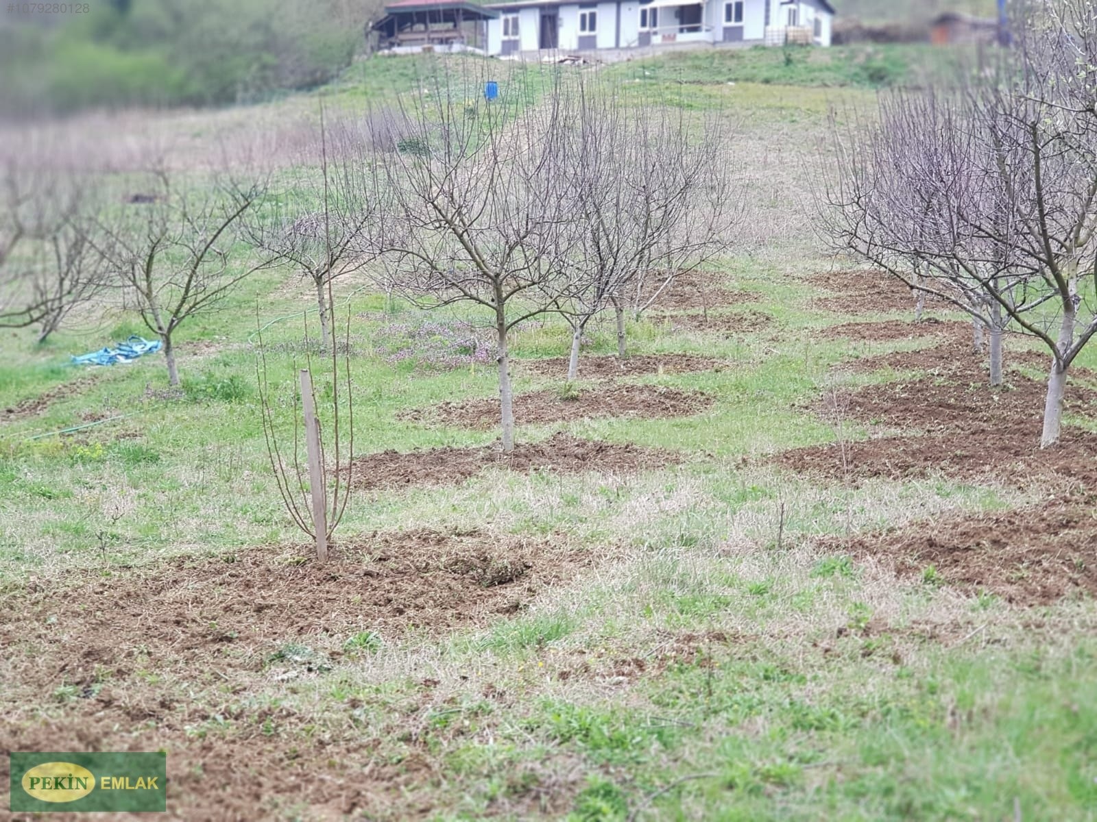 PEKİN EMLAKTAN İZMİT TE SATILIK ARAZİ - KOCAELİ İZMİT fotoğraf 19