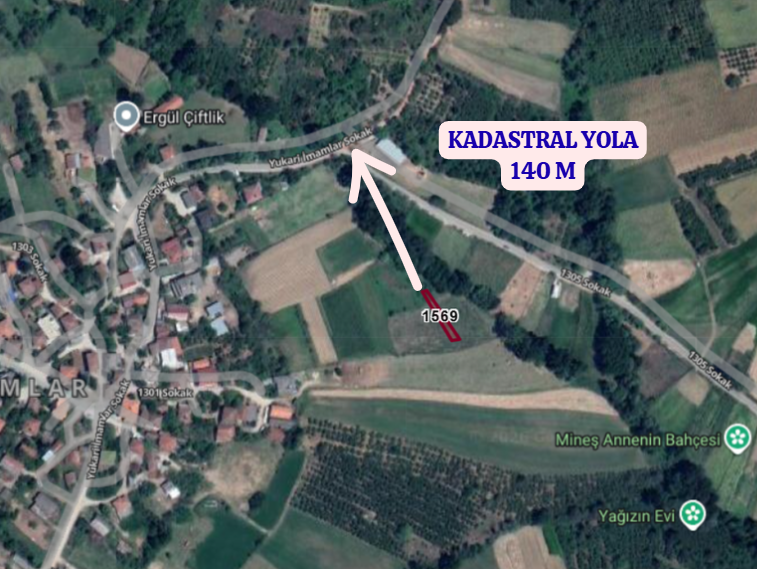 SAKARYA SÖĞÜTLÜ İMAMLAR KÖYÜNDE 240 M² TARLAMIZ SATILIKTIR. - SAKARYA SÖĞÜTLÜ fotoğraf 3