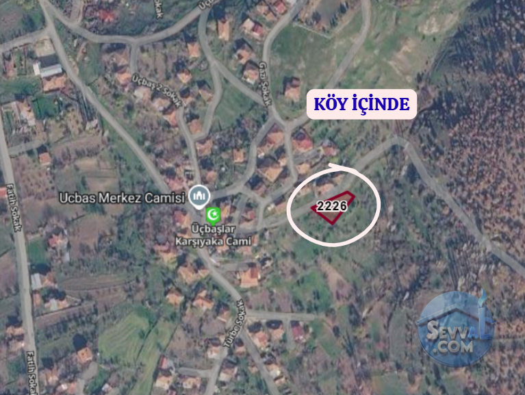 KÜTAHYA ŞAPHANE ÜÇBAŞ  KÖYÜNDE 611 M²  BAHÇE  SATILIKTIR - KÜTAHYA ŞAPHANE fotoğraf 4