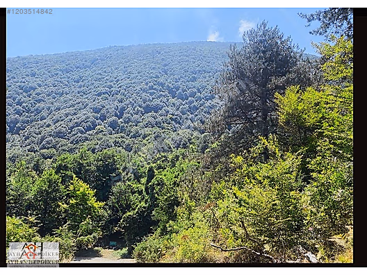 AYHAN HEPDİKER DEN GEYVE NURİOSMANİYEDE 18000 M2 HARİKA KONUMDA - SAKARYA GEYVE fotoğraf 6