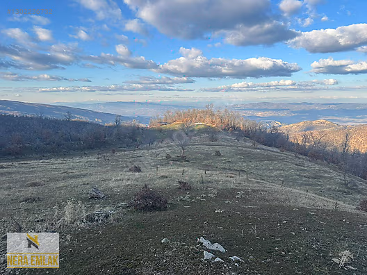 HORZUMKESERLER-İZMİR SARISU'YA YAKIN KADASTRO YOLLU 2.138m2 - MANİSA ALAŞEHİR fotoğraf 4