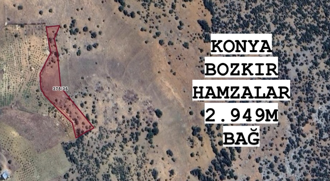 KONYA BOZKIR HAMZALAR KÖYÜNDE 2.949M² BAĞIMIZ SATILIKTIR. - KONYA BOZKIR fotoğraf 4