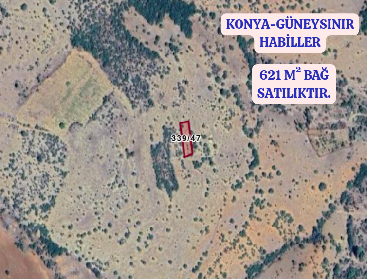 KONYA GÜNEYSINIR HABİLLER   KÖYÜNDE  621  M²  BAĞ  SATILIKTIR - KONYA GÜNEYSINIR fotoğraf 2