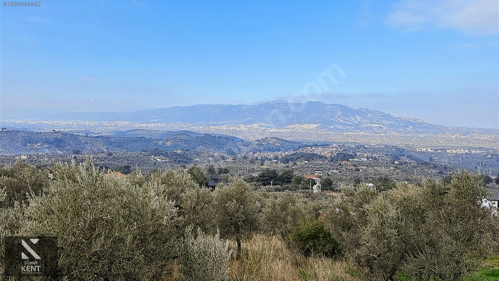 Kemalpaşa Yukarıkızılca Satılık İmar sınırında 6250m2 Zeytinlik - İZMİR KEMALPAŞA fotoğraf 14