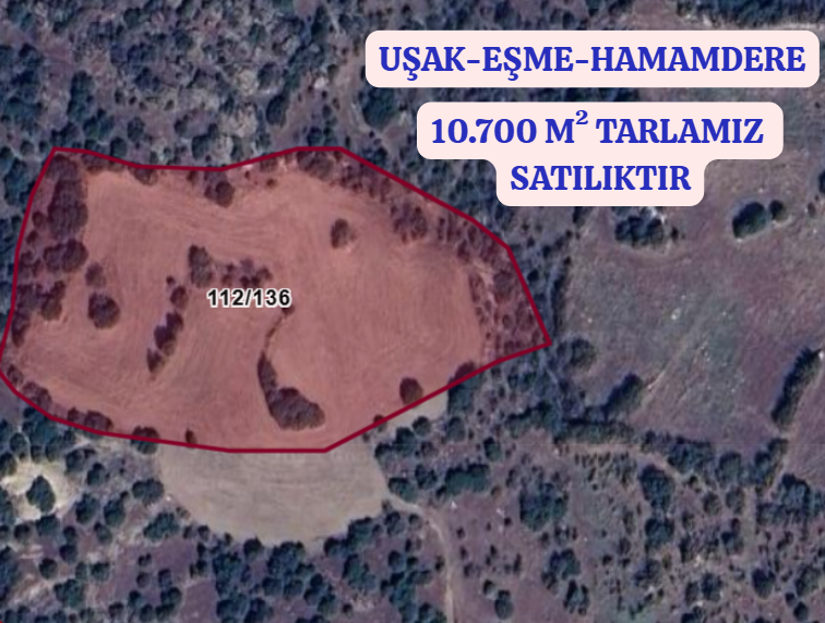 UŞAK EŞME HAMAMDERE KÖYÜNDE 10.700 M² TARLA SATILIKTIR - UŞAK EŞME fotoğraf 2