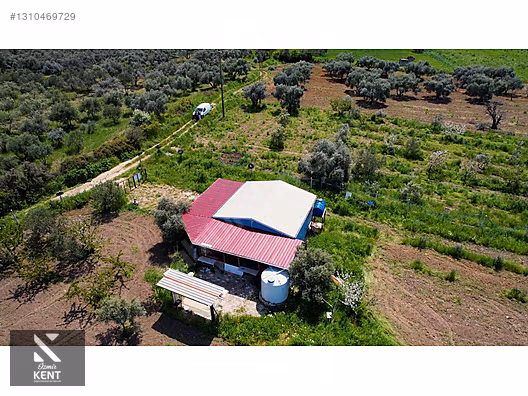 Kemalpaşa Halilbeylide Satılık 3000 m2 Bahçe 40 m2 Ev - İZMİR KEMALPAŞA fotoğraf 21