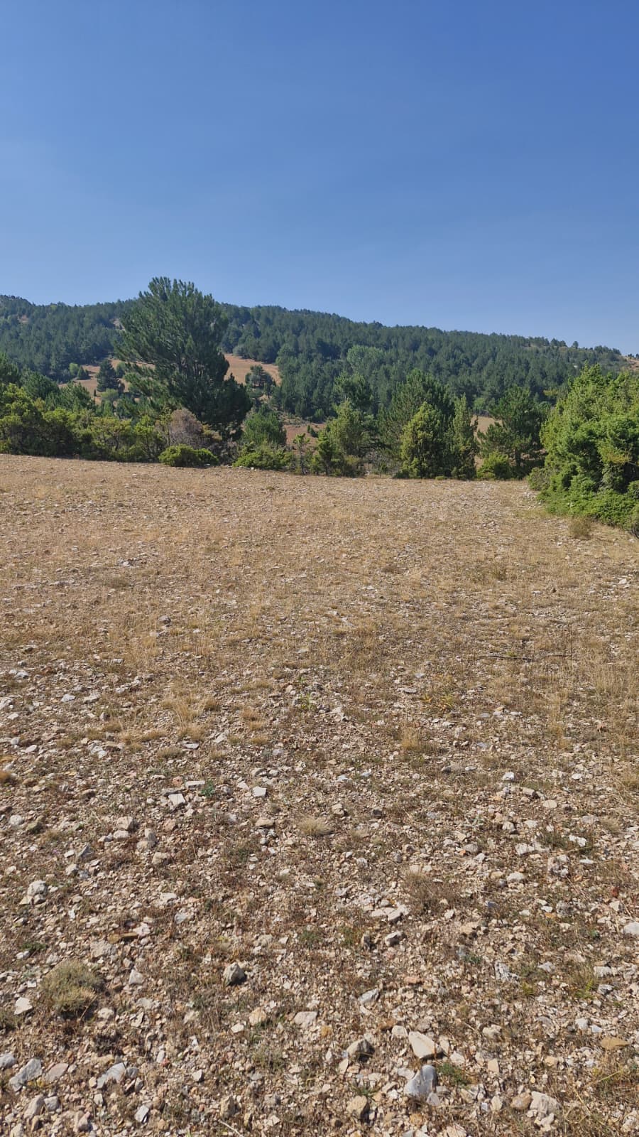 KÜTAHYA EMET DÜŞECEK   KÖYÜNDE 3.324 M² TARLA  SATILIKTIR - KÜTAHYA EMET fotoğraf 10