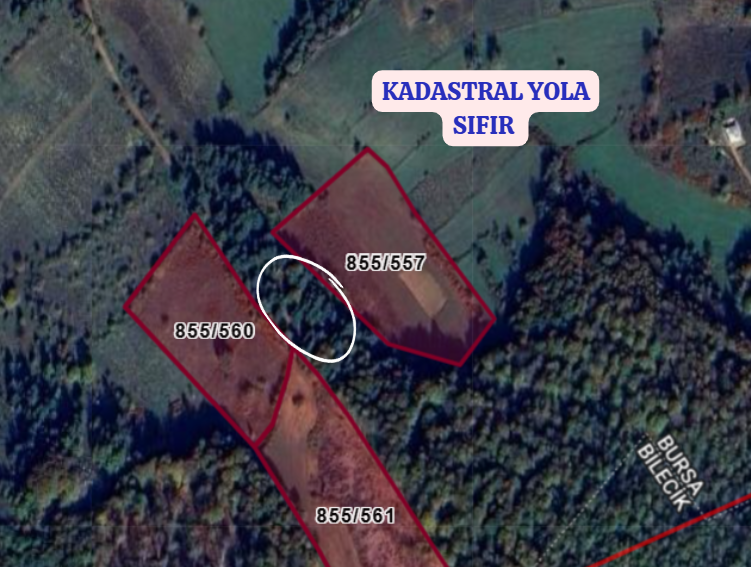 BURSA İZNİK ELMALI KÖYÜNDE 8.565 M² TARLA SATILIKTIR - BURSA İZNİK fotoğraf 3