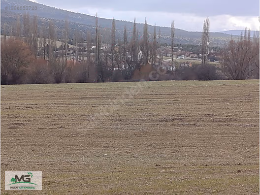 KÜTAHYA ALTINTAŞ PINARCIK KÖYÜ KELEPİR ARSA TARLA ARAZİ - KÜTAHYA ALTINTAŞ fotoğraf 7