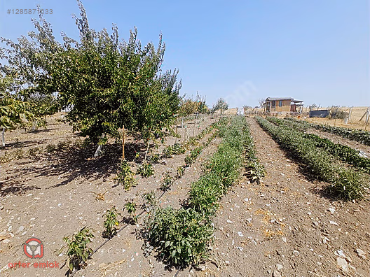 ARTER EMLAK'TAN ALTIEYLÜL ATKÖYDE 1850 M² SATILIK HOBİ BAHÇESİ - BALIKESİR ALTIEYLÜL fotoğraf 3