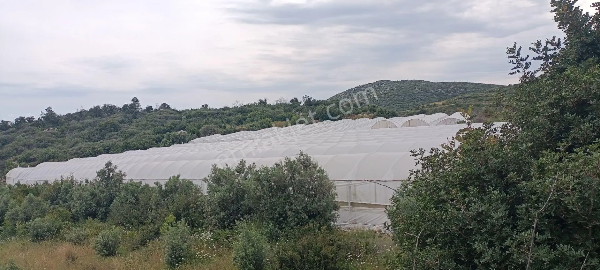 Kumluca Yenicepınar Da Deniz Manzaralı Satılık Arsa-tarla - ANTALYA KUMLUCA fotoğraf 4