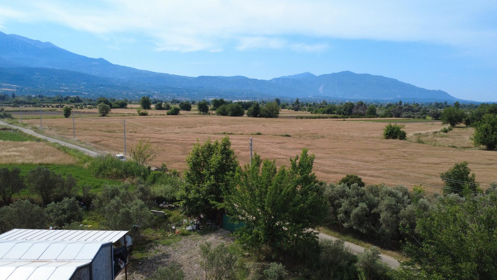 Zeytin ve meyve bahçesi 1+1 prefabrik daire - MUĞLA SEYDİKEMER fotoğraf 15