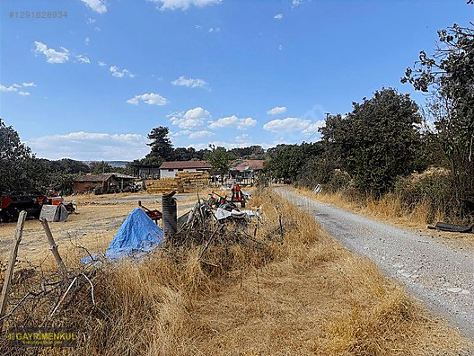 SAVAŞTEPE KARACALARDA OTURUMLUK YATIRIMLIK DÜMDÜZ 11 DÖNÜM MÜLK - BALIKESİR SAVAŞTEPE fotoğraf 13