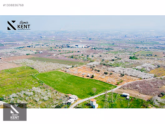 Kemalpaşa Ören 75. Yıl Satılık 8770 m2 Tek Tapu Tarla - İZMİR KEMALPAŞA fotoğraf 7