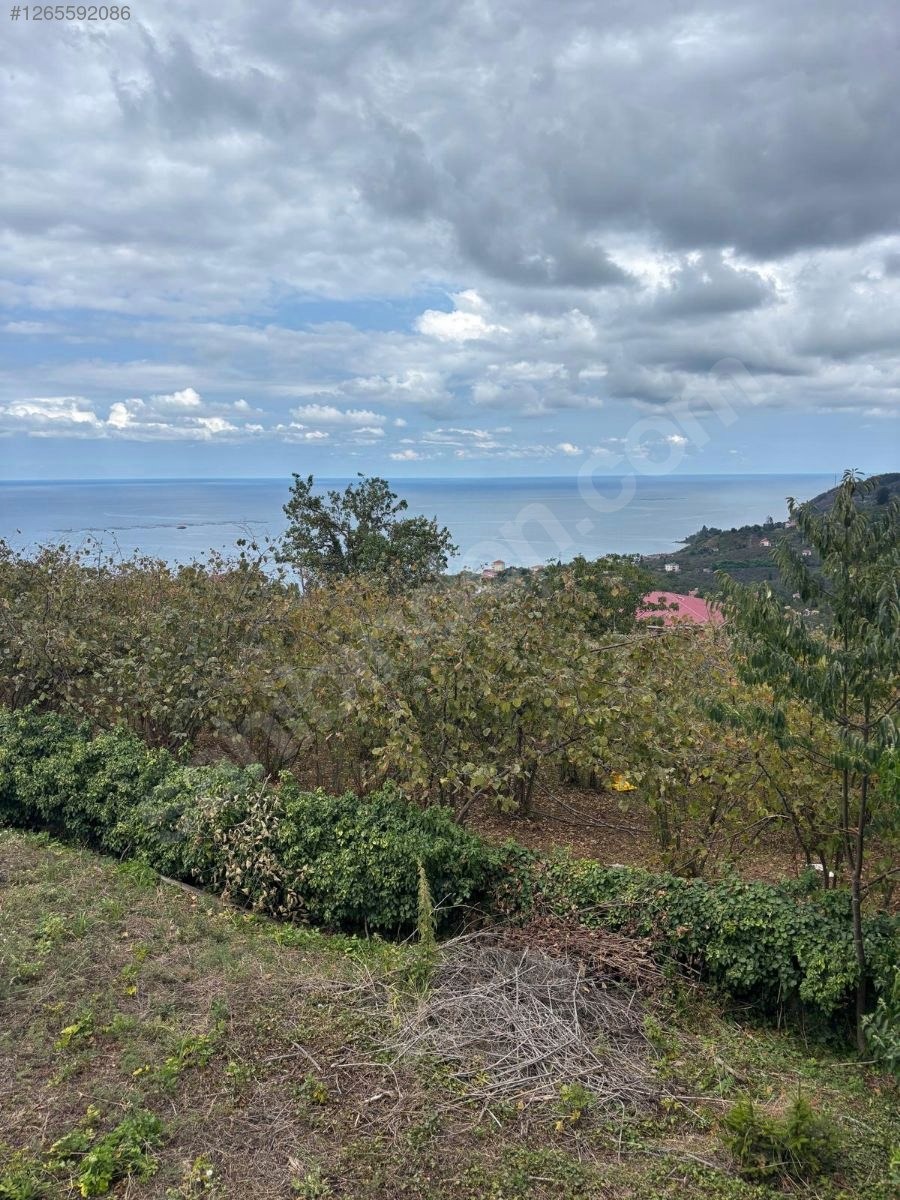 OBHD GLOBAL GAYRİMENKUL'DEN KEŞAP TEPEKÖY'DE SATILIK ARSA - GİRESUN KEŞAP fotoğraf 7