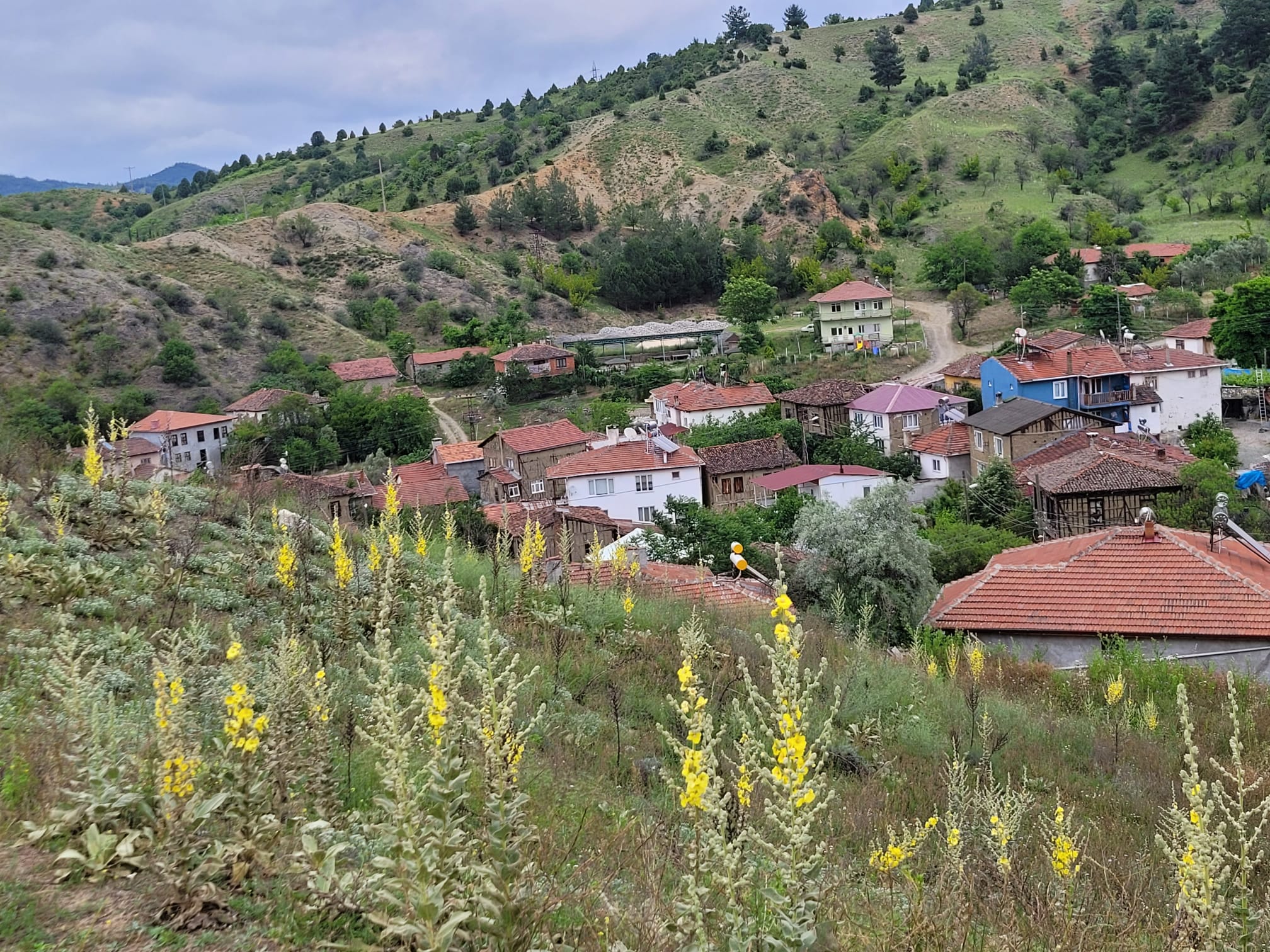 BEKDEMİR KÖYÜNDE MÜKEMMEL KONUMDA KÖY İMARLI ARSA - BİLECİK MERKEZ fotoğraf 4