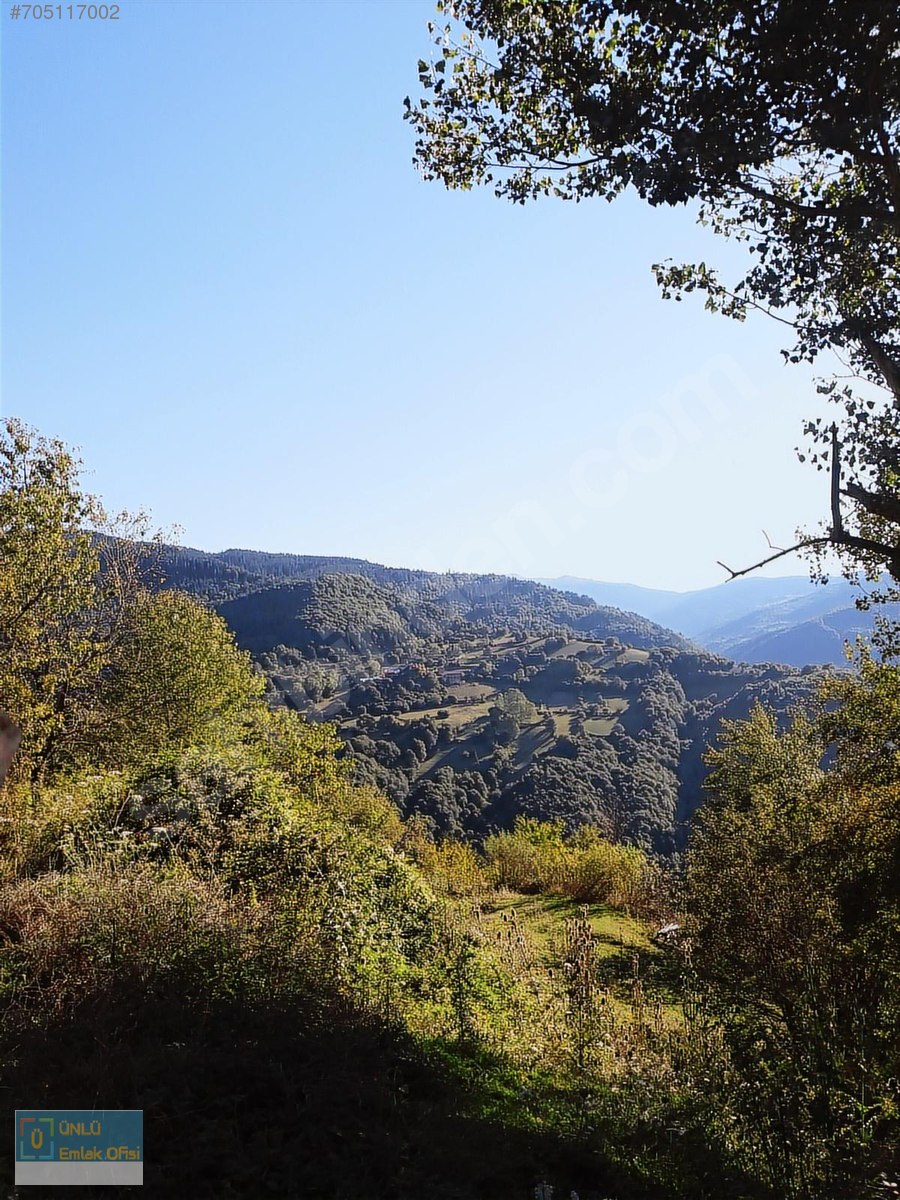 ÜNLÜ EMLAKTAN ILGAZ MANZARALI ORMAN İÇİNDE 50 DÖNÜM CAZİP ARAZİ - KASTAMONU MERKEZ fotoğraf 4