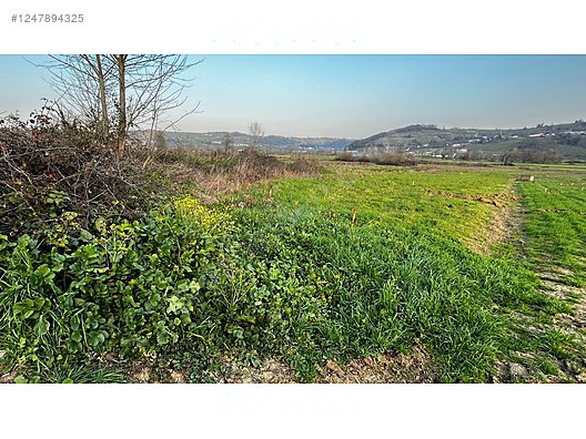 Asfalta Cephe, Köşe Parsel, Çeşme Karşısı, Köy Dibinde, Eğimsiz! - KOCAELİ KANDIRA fotoğraf 3