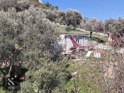 Kemalpaşa Soğukpınar İmar Gelişim Alanında Satılık 2,877m2 Bahçe - İZMİR KEMALPAŞA fotoğraf 27