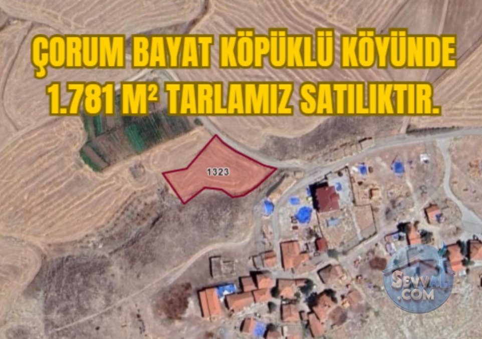 ÇORUM BAYAT KÖPÜKLÜ KÖYÜNDE 1.781 M² TARLAMIZ SATILIKTIR. - Çorum Bayat fotoğraf 4