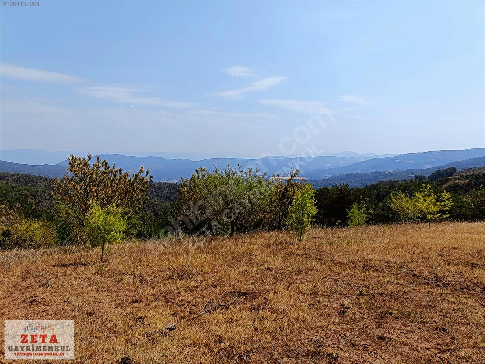 Sakarya Taraklı'da Manzaralı 5.291 m² Hobi Bahçesi/Yatırımlık - SAKARYA TARAKLI fotoğraf 4