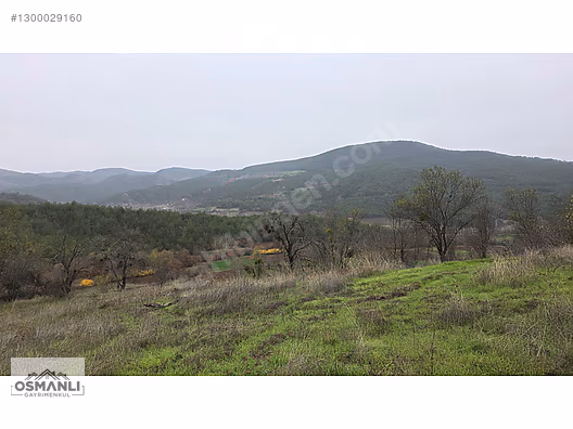 RESMİ YOLLU 800 M2 MANZARALI HOBİ BAHÇESİ - BİLECİK GÖLPAZARI fotoğraf 14
