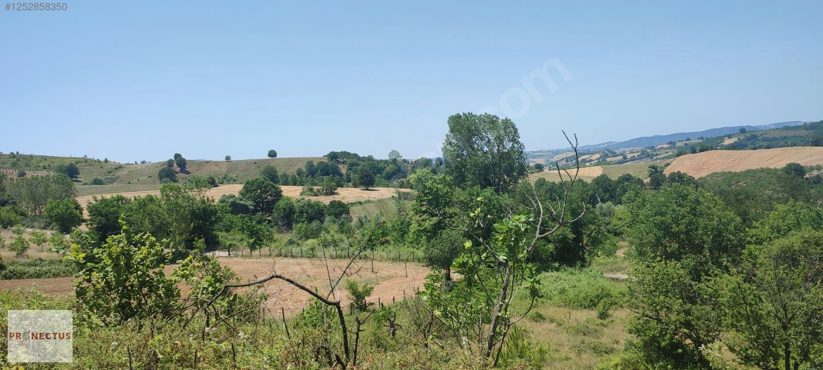 AVCIKÖY MAHALLESİNDE RESMİ YOLA CEPHE 3057M2 İMARLI SATILIK ARSA - KOCAELİ KARAMÜRSEL fotoğraf 6