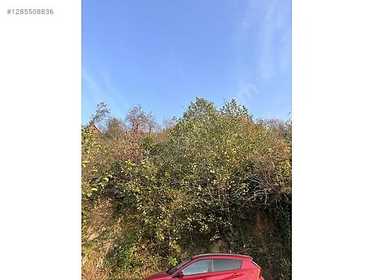 ESPİYE SATILIK BAHÇE 2650 MK HACIMAHMUTLU KÖYÜ ŞEHRE 15 DK - GİRESUN ESPİYE fotoğraf 11