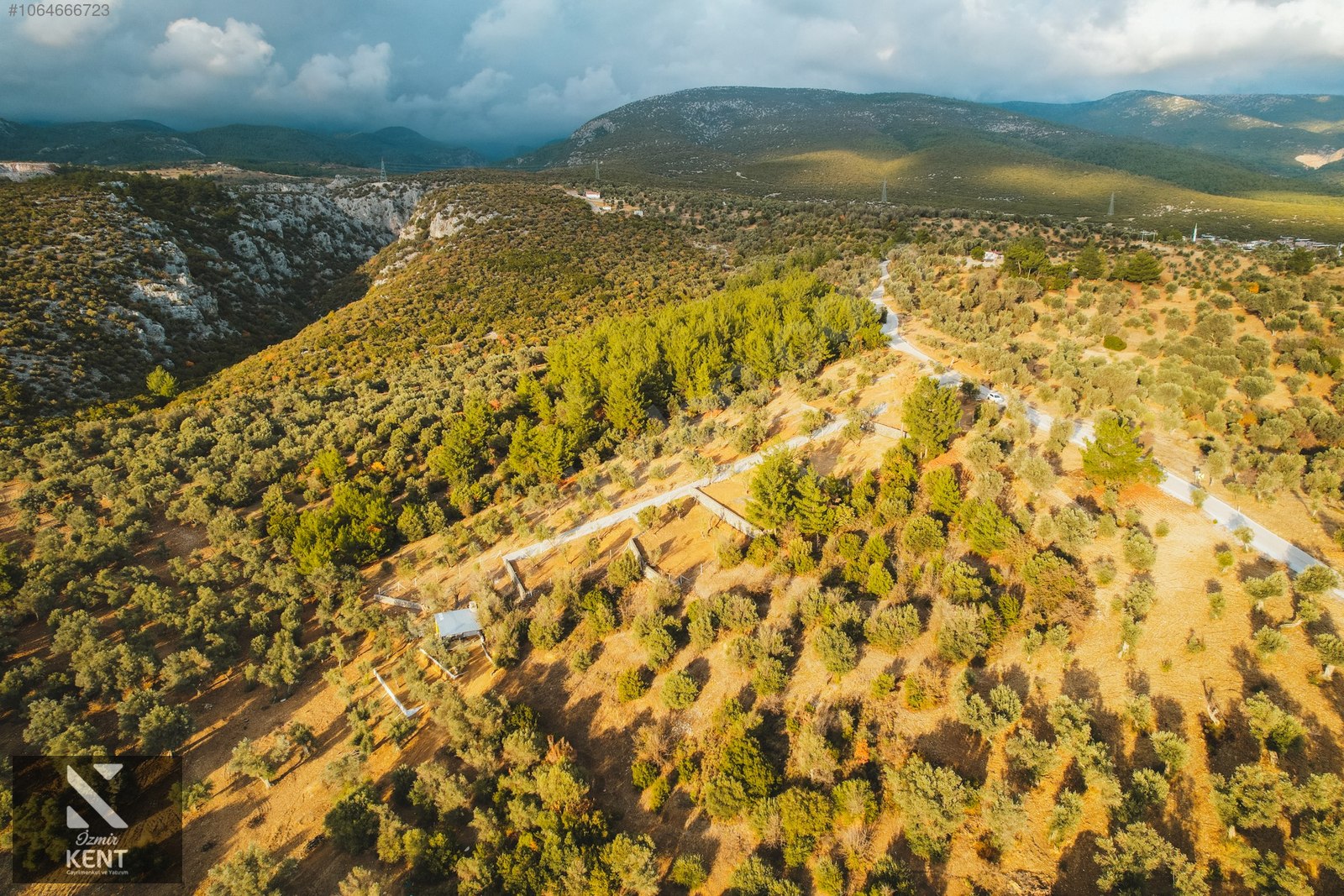 Kemalpaşa Yenmiş Satılık Bahçe 610 m2 - İZMİR KEMALPAŞA fotoğraf 26