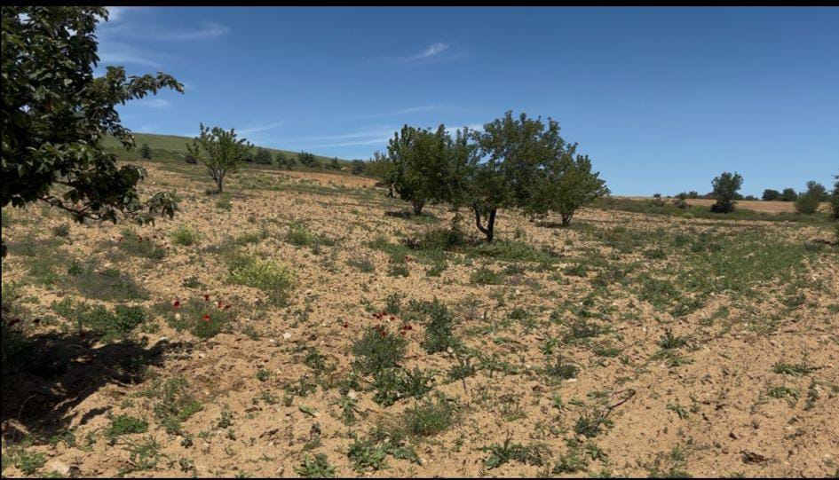 MANİSA KULA EROĞLU  KÖYÜNDE 12.351  M² TARLA  SATILIKTIR - MANİSA KULA fotoğraf 7