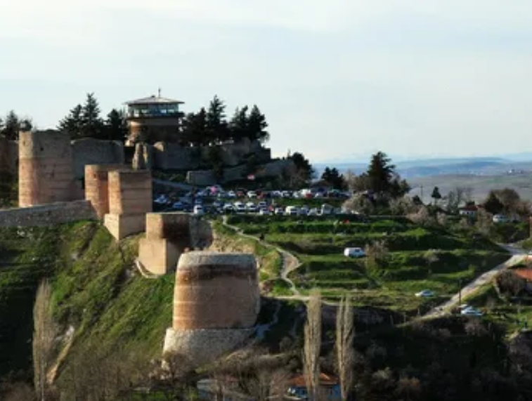 KÜTAHYA EMET ÇERTE/YILDIRIM'DA 7.864 M² TARLAMIZ SATILIKTIR. - KÜTAHYA EMET fotoğraf 7