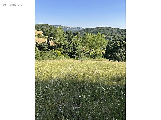 BALIKESİR KARESİ BÜYÜKPINAR  KÖYÜNDE 950 M² TARLA SATILIKTIR - BALIKESİR KARESİ fotoğraf 9