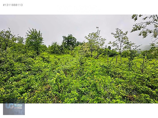 14 DÖNÜM TEK TAPU - BARTIN MERKEZ fotoğraf 8