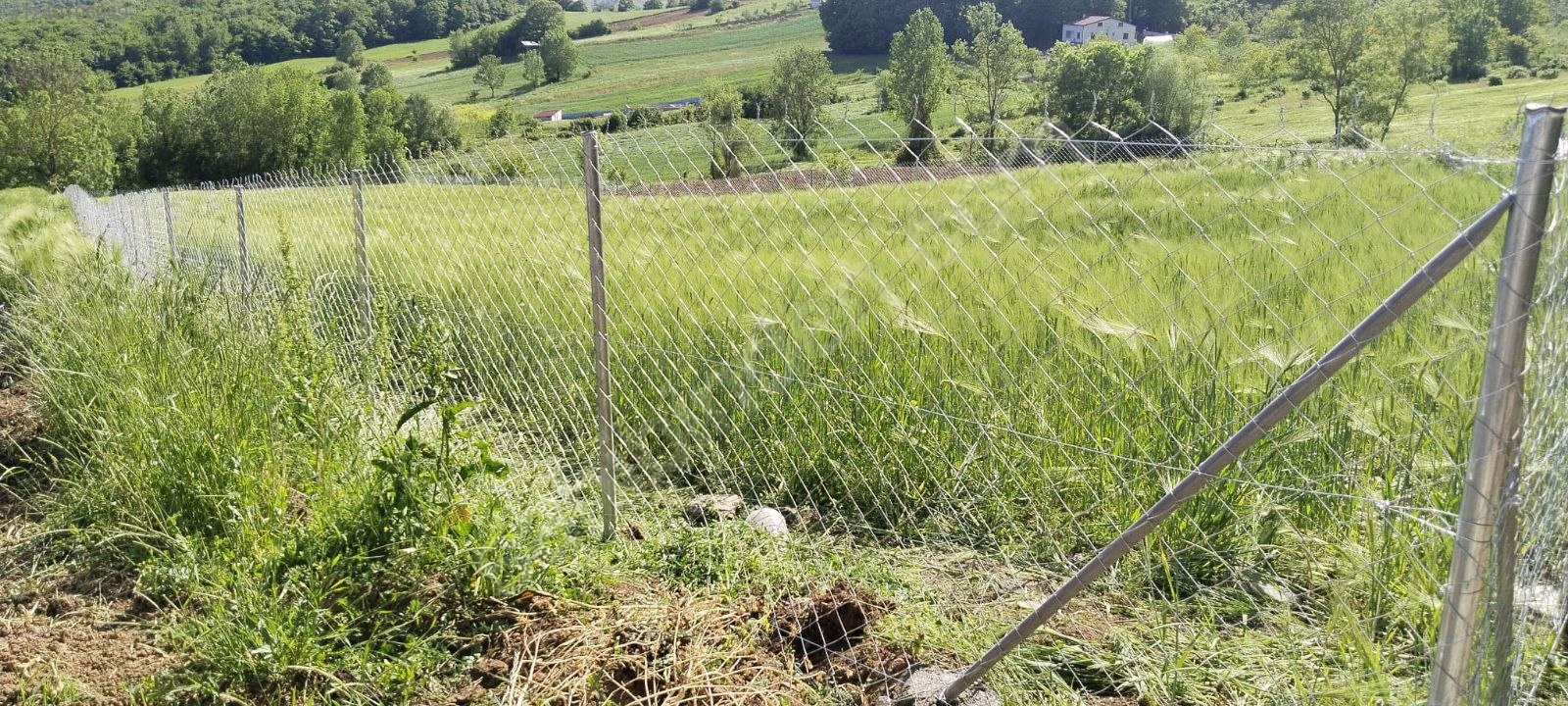 Ormana Komşu Doğayla İç İçe Harika Bir Yer - KOCAELİ İZMİT fotoğraf 10