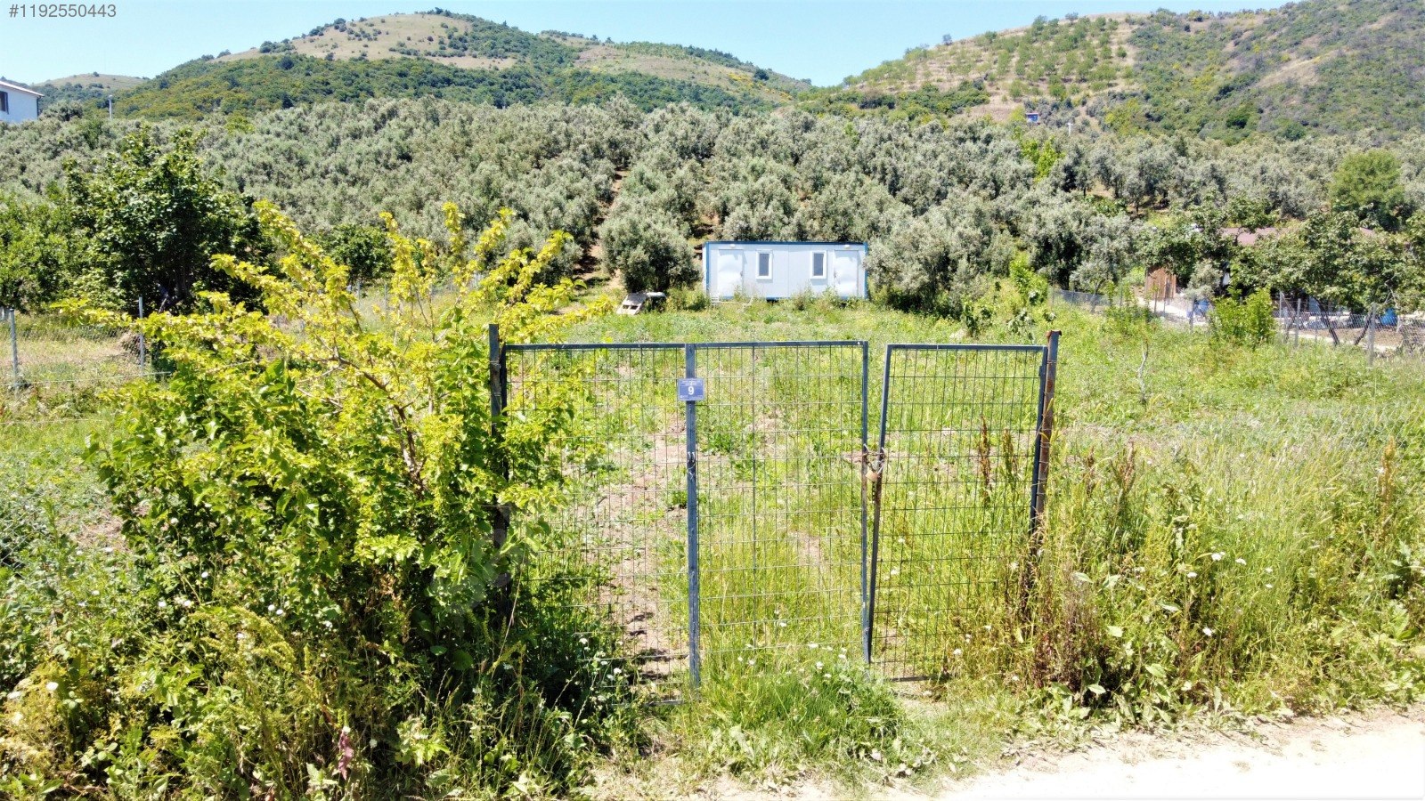 BURSA MUDANYA ÇEPNİ KÖYÜNDE 2.110 M² ZEYTİNLİK SATILIKTIR. - BURSA MUDANYA fotoğraf 15