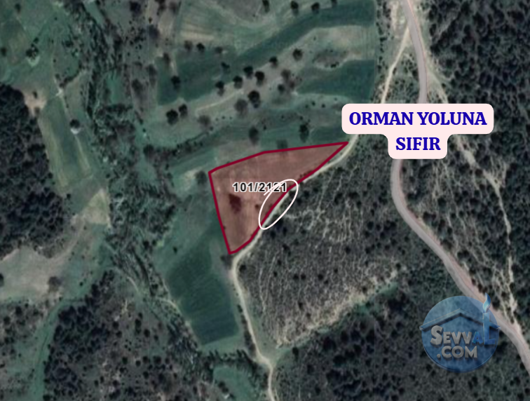 KÜTAHYA ÇAVDARHİSAR YENİCEARMUTCUK  KÖYÜNDE  6.982 M²   TARLA  SATILIKTIR - KÜTAHYA ÇAVDARHİSAR fotoğraf 3