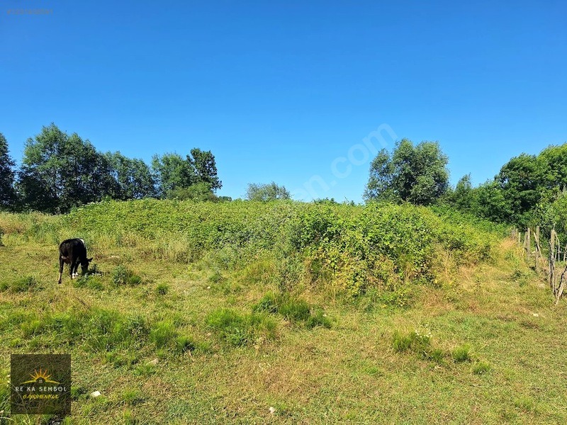KARASU KUZULUK MAHALLESİNDE SATILIK 7.170 M2 TARLA - SAKARYA KARASU fotoğraf 10