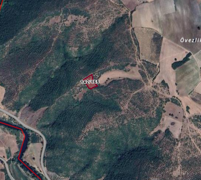 BURSA MUDANYA EVCİLER KÖYÜNDE 2.259 M²  TARLA SATILIKTIR