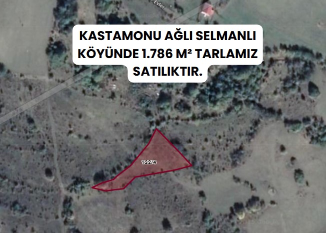 KASTAMONU AĞLI SELMANLI  KÖYÜNDE  1.786  M² TARLA SATILIKTIR - KASTAMONU AĞLI fotoğraf 2