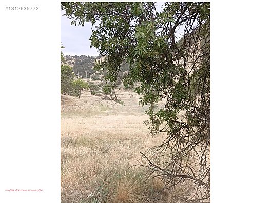 KEMER KAYI KÖYÜNDE YERLEŞİM YERİ İÇİNDE 7500 M2 SUYU MEVCUT - BURDUR KEMER fotoğraf 25