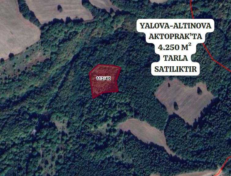 YALOVA ALTINOVA AKTOPRAK KÖYÜ’NDE 4.250 M²  TARLA SATILIKTIR - YALOVA ALTINOVA fotoğraf 2