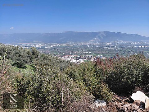 Kemalpaşa Soğukpınar İmar Gelişim Alanında Satılık 2,877m2 Bahçe - İZMİR KEMALPAŞA fotoğraf 13