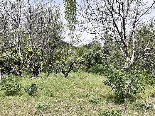   Karaman / Ermenek / Yalındal Köyü 809M² BAHÇE SATILIKTIR.  - KARAMAN ERMENEK fotoğraf 4